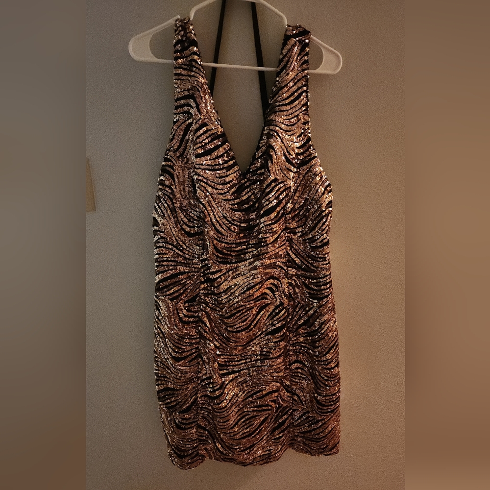Charlotte russe dress